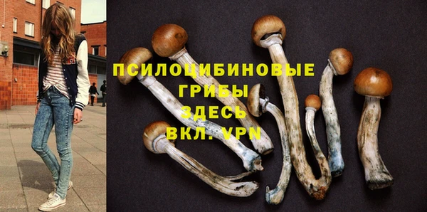 скорость Рославль