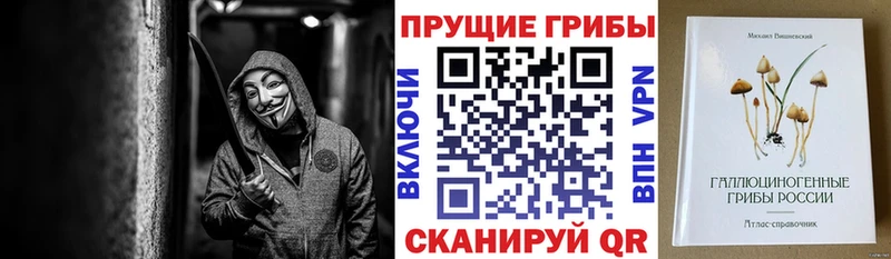Псилоцибиновые грибы прущие грибы  Чехов 